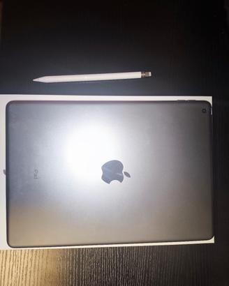 ipad 10.2 e apple pencil 