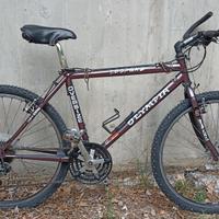 Bici MTB Olympia Leopard Oversize