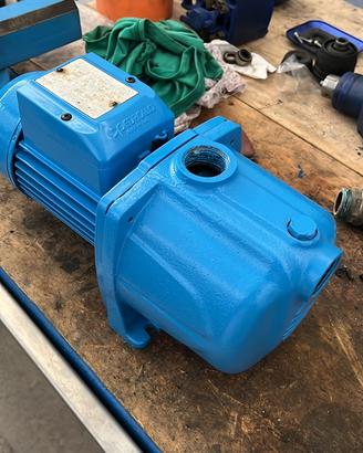 Pompa  autoclave pedrollo