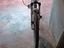 Immagine 4