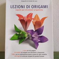 Lezione di Origami