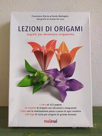 Lezione di Origami