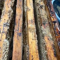 Melari già costruiti con cera