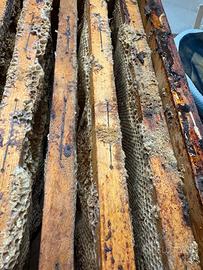 Melari già costruiti con cera