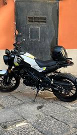 Benelli leoncino 250 perfetta a2