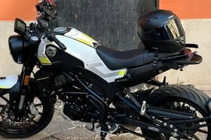 Benelli leoncino 250 perfetta a2