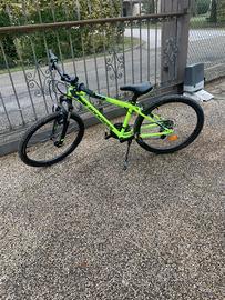 Splendida bicicletta!