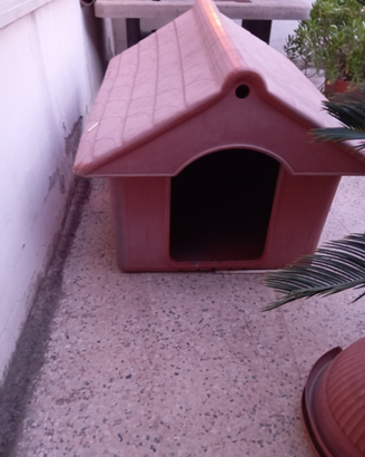 Cuccia per cane