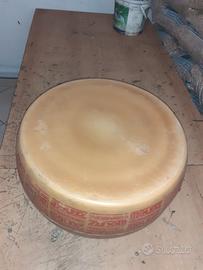 forma di formaggio 