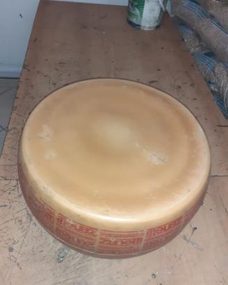 forma di formaggio 