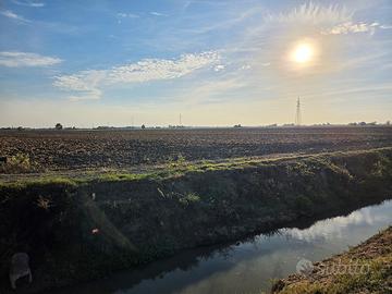 Terreno Agricolo 8,5Ha Irrigabile Copparo