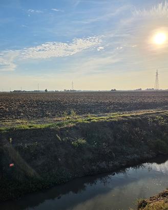 Terreno Agricolo 8,5Ha Irrigabile Copparo