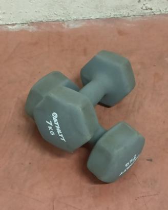 Manubri 7 kg