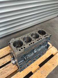 Motore MAN TGL D0834 EURO 5 revisionato garanzia