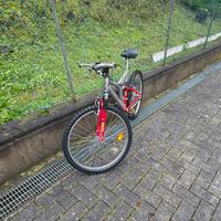 Bici Bicicletta Mountain Bike MTB