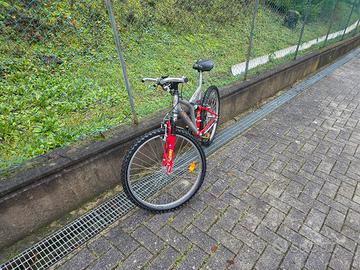 Bici Bicicletta Mountain Bike MTB