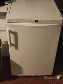 CONGELATORE LIEBHERR