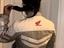Immagine 4
