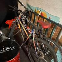 2 Biciclette muntain bike uomo donna