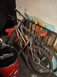 2 Biciclette muntain bike uomo donna