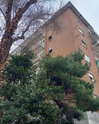 Rif.24289| appartamento bilocale