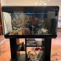 Acquario 200L