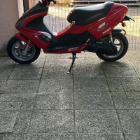 Benelli 491 Sport