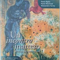 un incontro inatteso b 