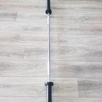 Bilanciere corto Technogym 