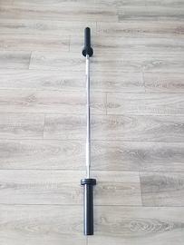 Bilanciere corto Technogym 