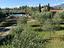 Immagine 21
