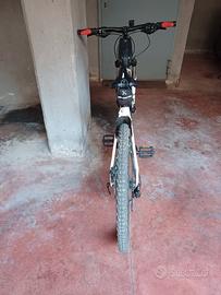 bicicletta nuova 