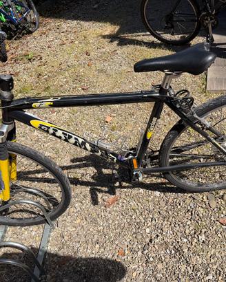 Olympia Custom mtb