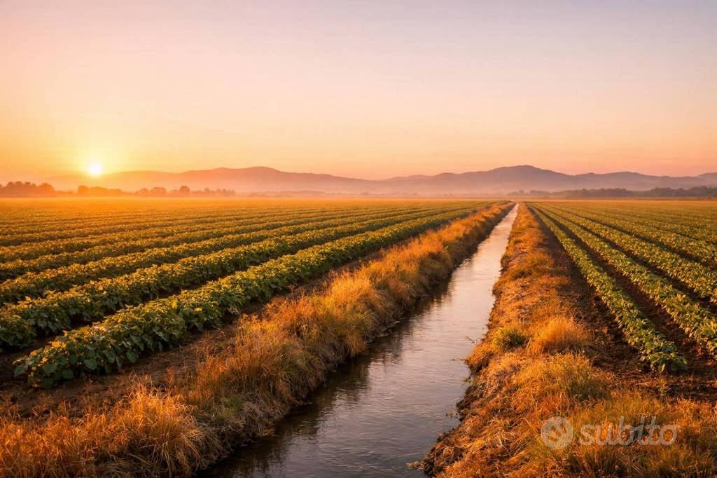 Immobile in asta di 24835 m² a Falerna - Vista 5