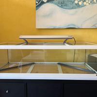 Acquario/terrario