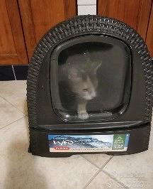 Lettiera gatto Curver 