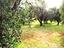 Immagine 27