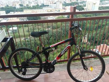 Bicicletta 24'