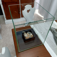 Acquario askoll chi design