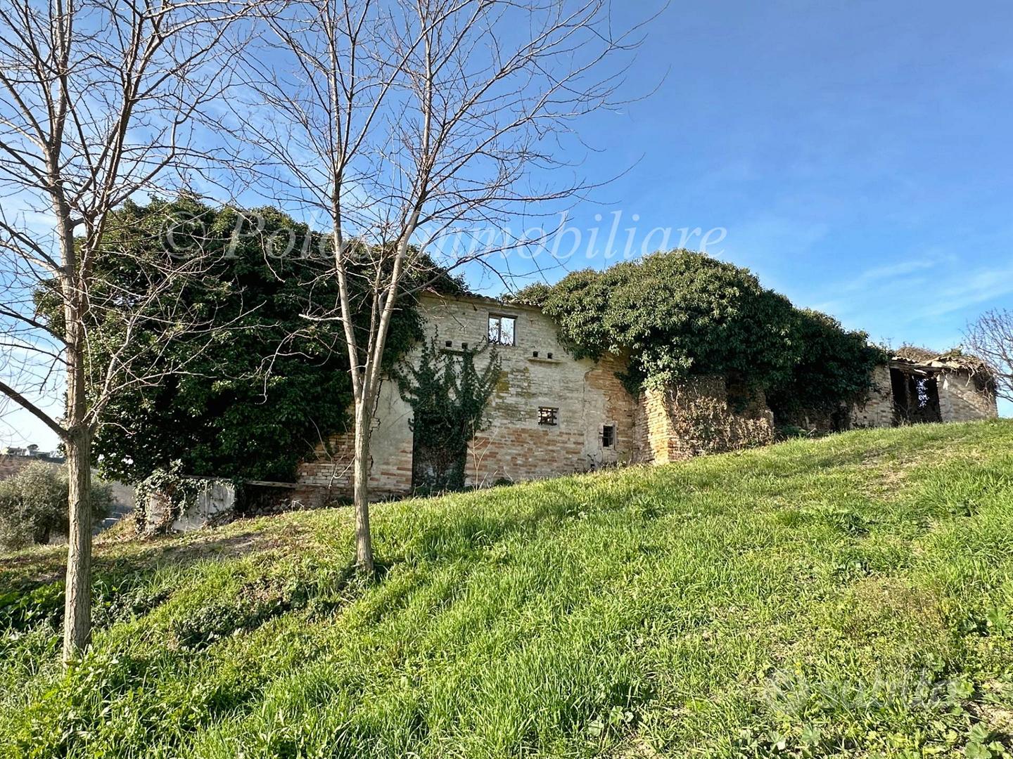 Casa colonica - Monte Giberto - Vista 6