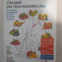 L'amaldi per i licei scientifici.blu