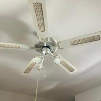2 pale ventilatori da soffitto con luce