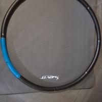 Cerchio con pesi Domyos