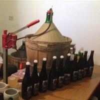 Vino Clinto /Clinto Wine