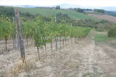 Rif.TA30|Terreno agricolo San Casciano dei Bagni
