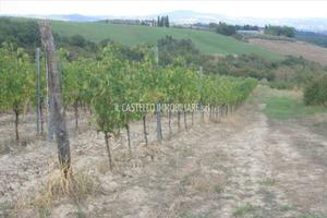 Rif.TA30|Terreno agricolo San Casciano dei Bagni