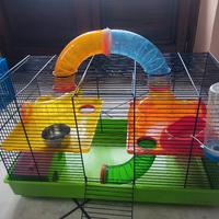 casetta gabbietta per criceti accessoriata