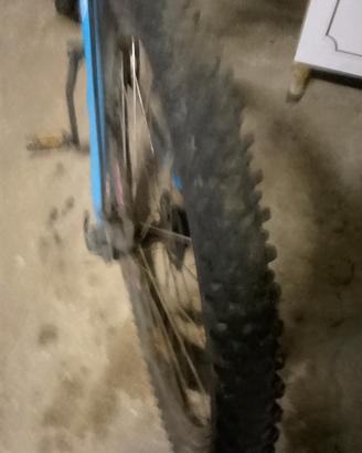bicicletta usata 