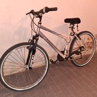 Citybike Unisex 26''