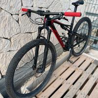 Specialized Epik full